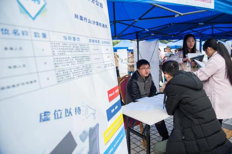双选会 双选会